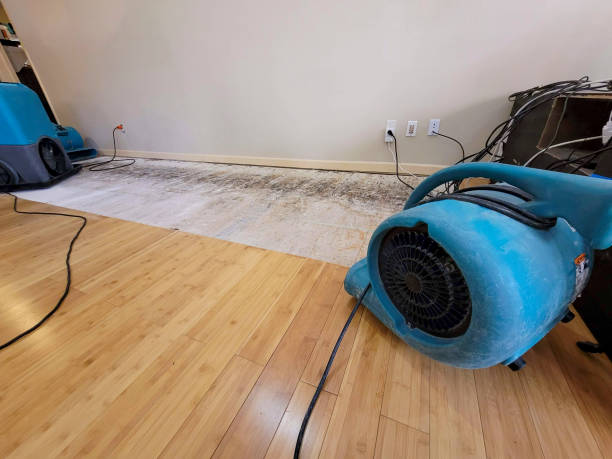 Professional Structural Drying technician working in Haverhill, FL